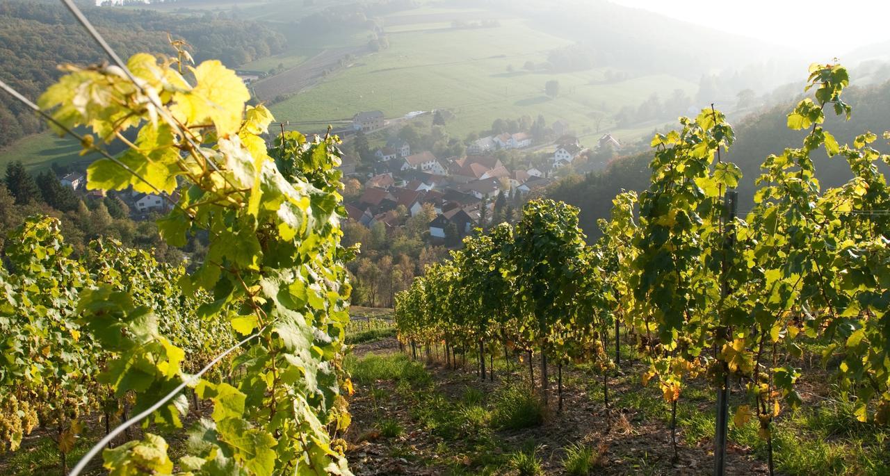 Weingut Hees - Landgasthof Zum Jaeger Aus Kurpfalz Auen Extérieur photo