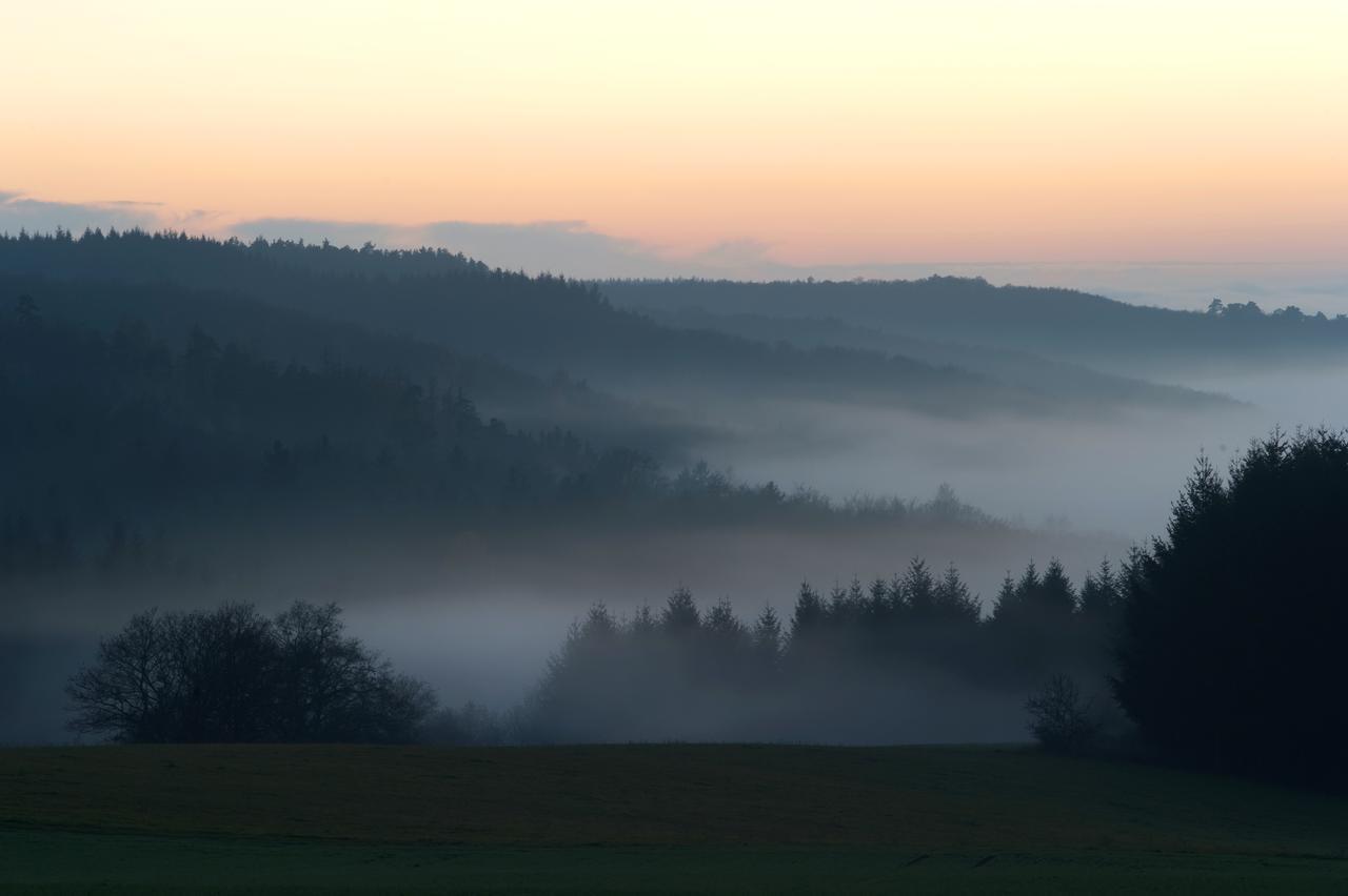 Weingut Hees - Landgasthof Zum Jaeger Aus Kurpfalz Auen Extérieur photo