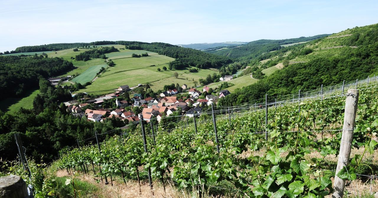 Weingut Hees - Landgasthof Zum Jaeger Aus Kurpfalz Auen Extérieur photo