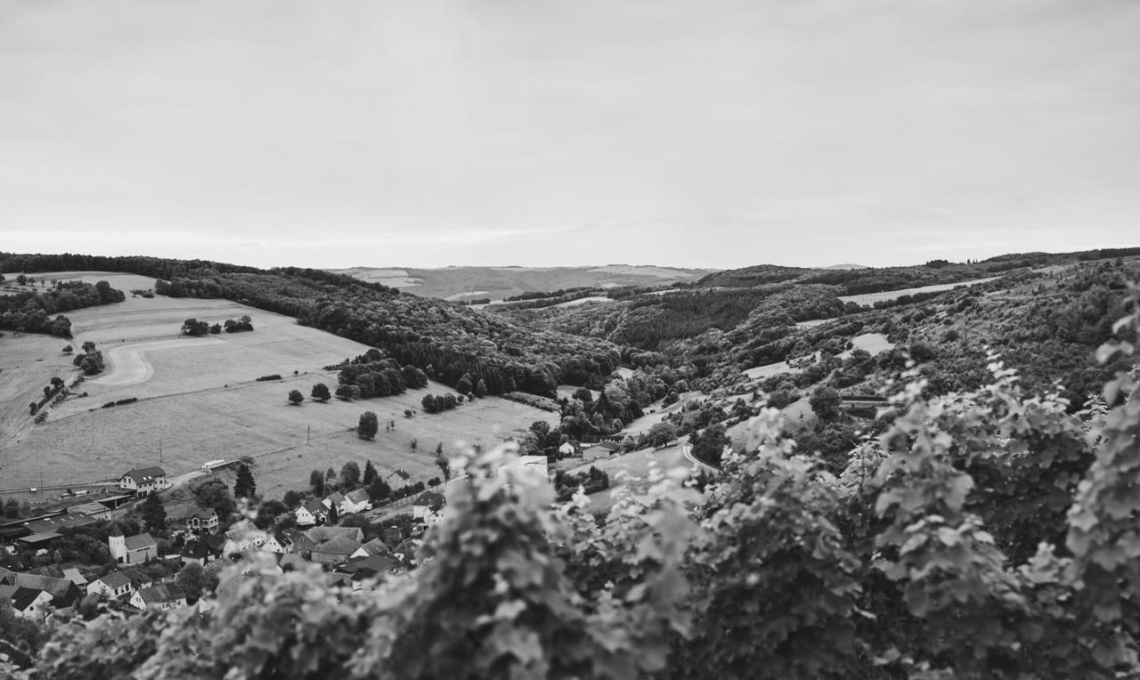 Weingut Hees - Landgasthof Zum Jaeger Aus Kurpfalz Auen Extérieur photo